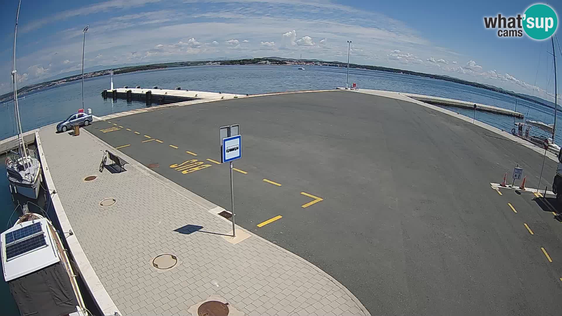 Tkon camera en vivo – Transportar – Dalmacia – Croacia