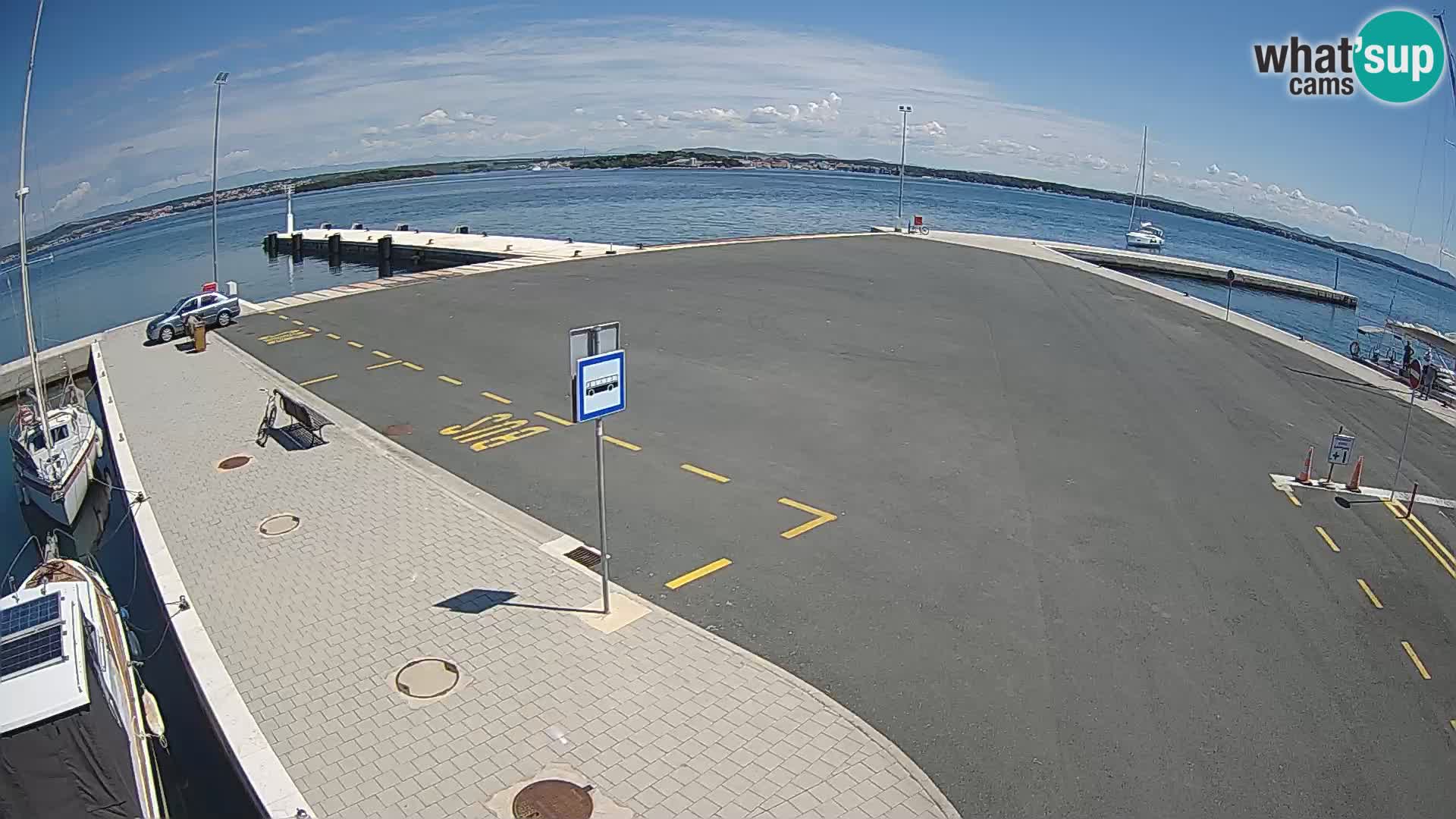 Tkon camera en vivo – Transportar – Dalmacia – Croacia