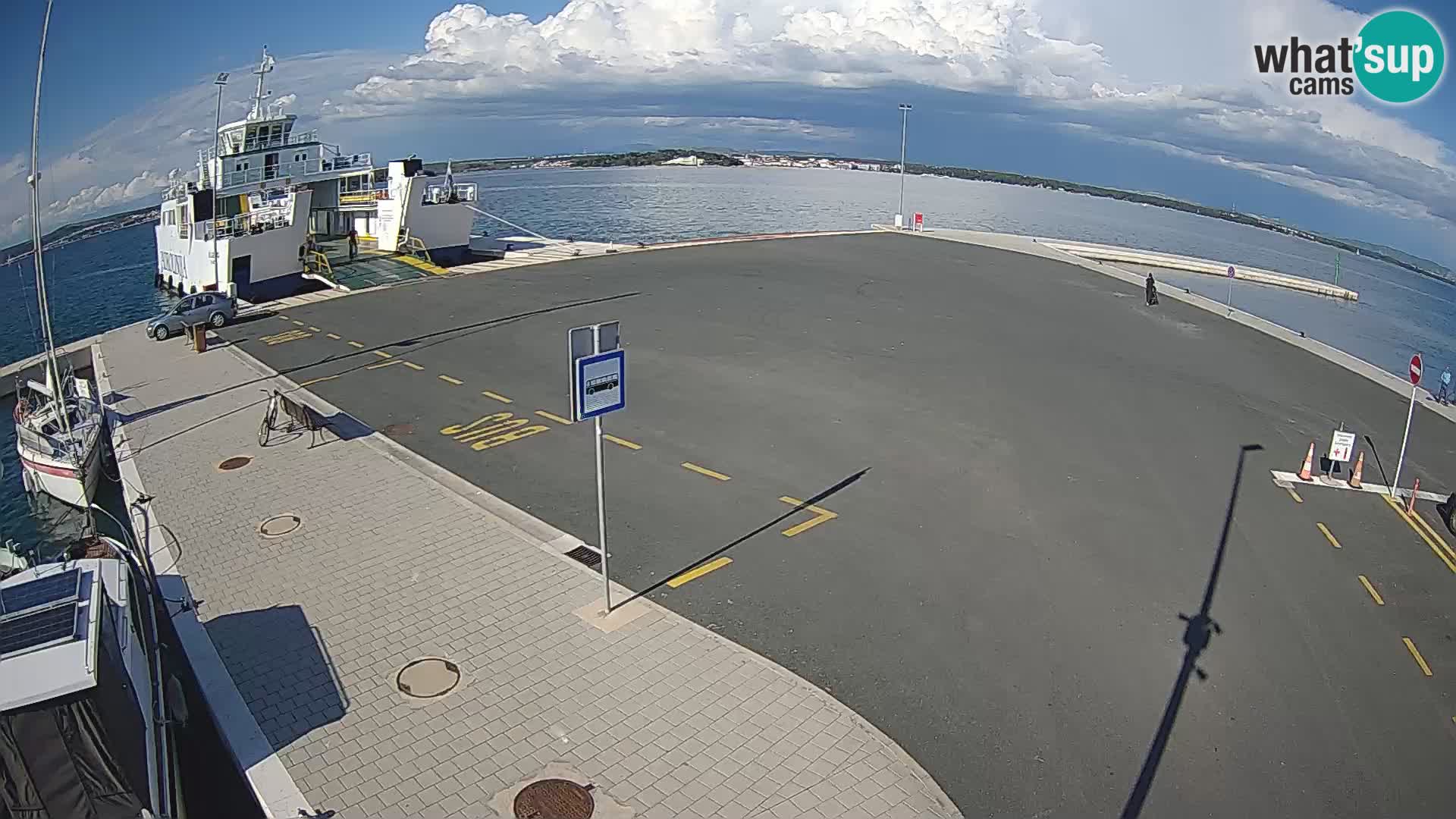 Tkon v živo – trajekt – Dalmacija – Hrvaška