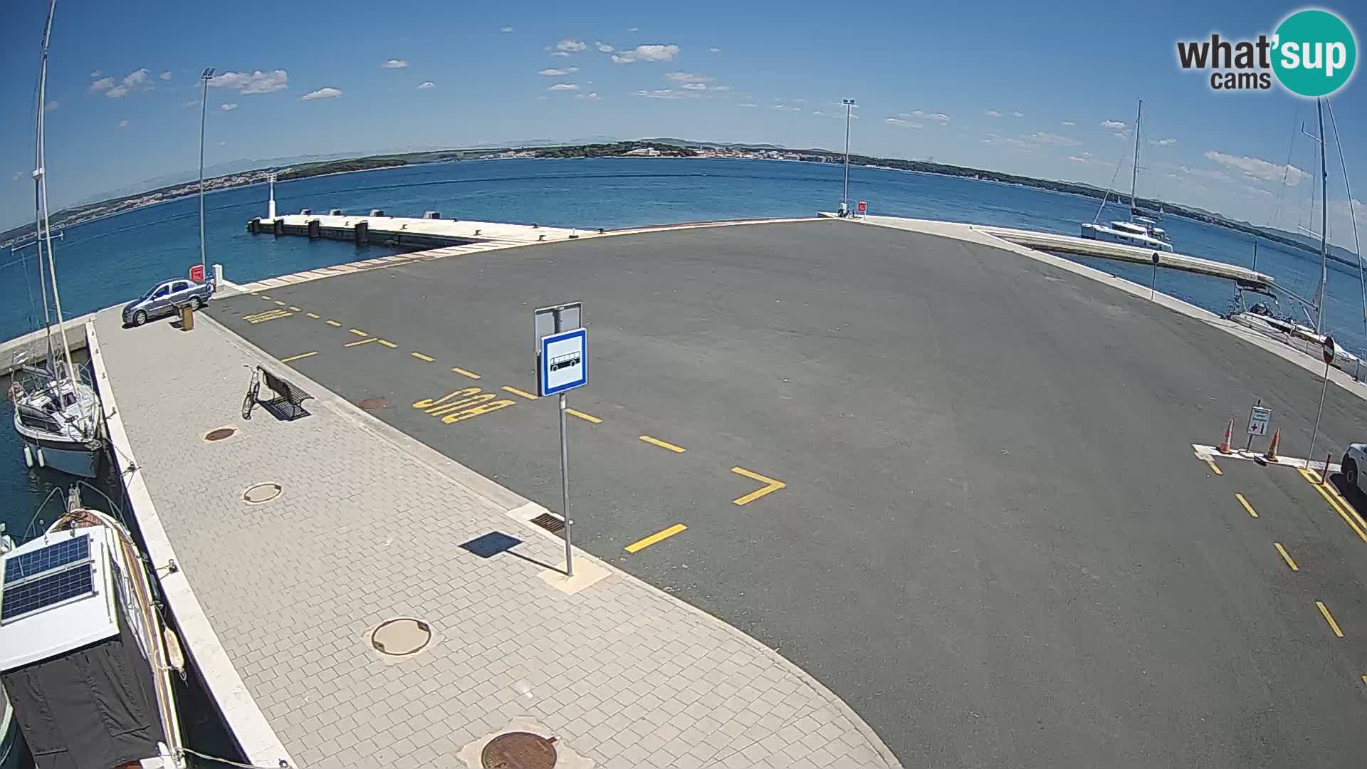 Tkon v živo – trajekt – Dalmacija – Hrvaška