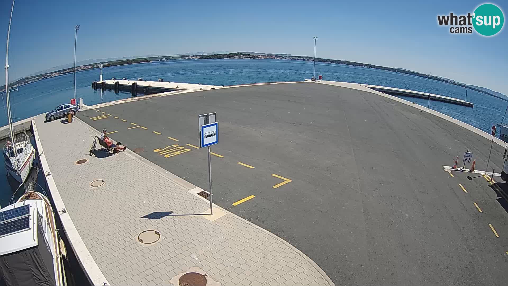 Tkon v živo – trajekt – Dalmacija – Hrvaška