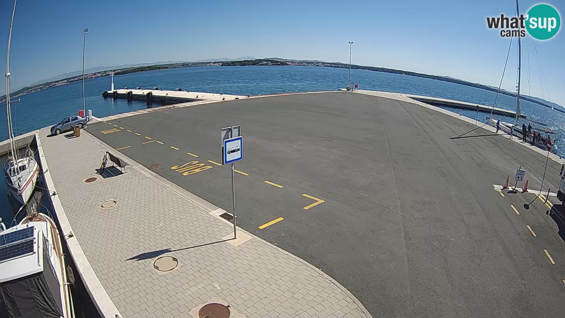 Tkon v živo – trajekt – Dalmacija – Hrvaška