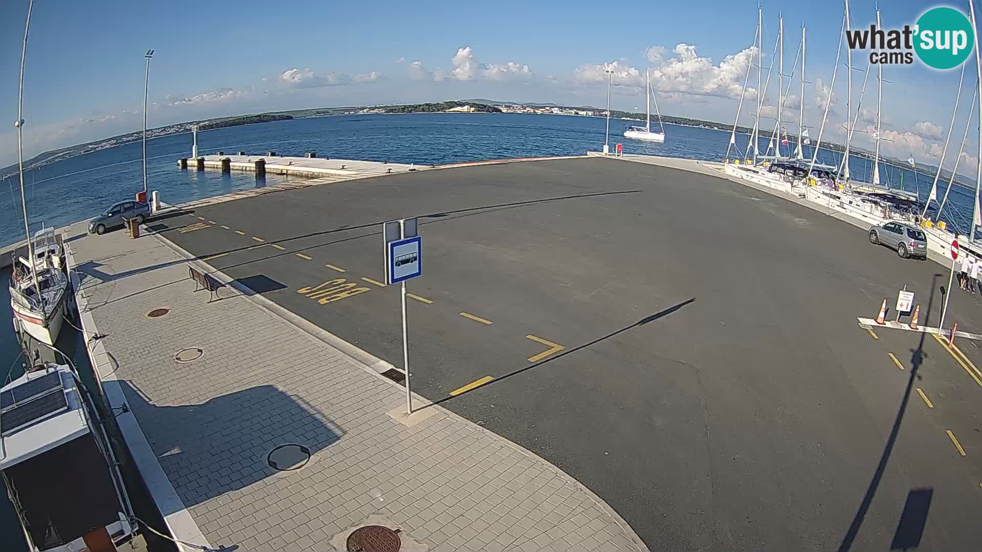 Tkon v živo – trajekt – Dalmacija – Hrvaška