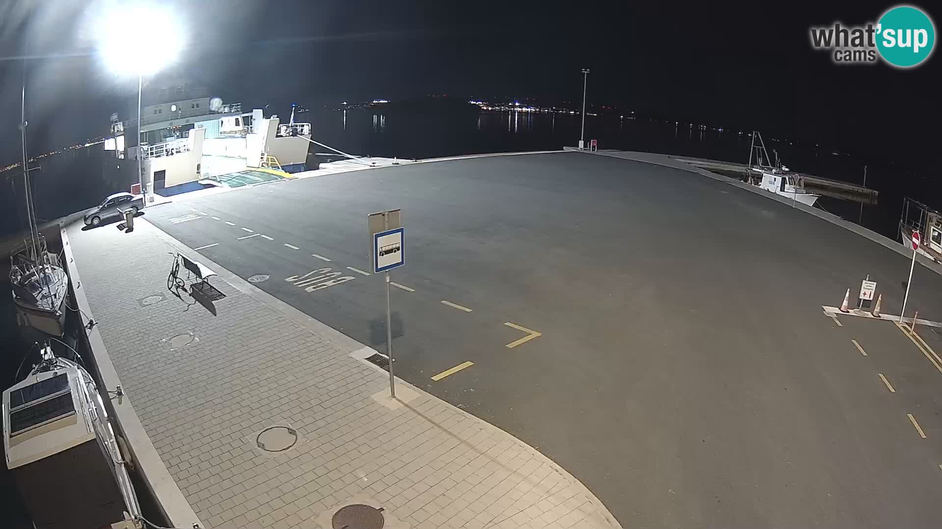 Tkon v živo – trajekt – Dalmacija – Hrvaška