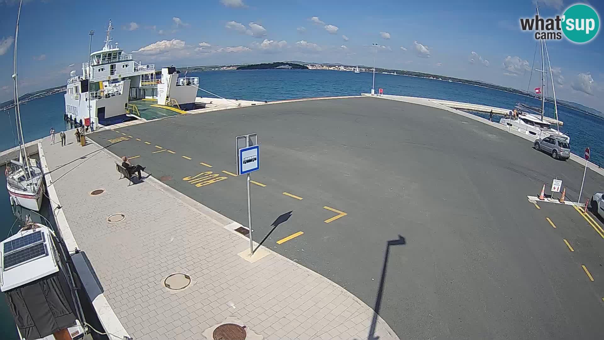 Tkon camera en vivo – Transportar – Dalmacia – Croacia