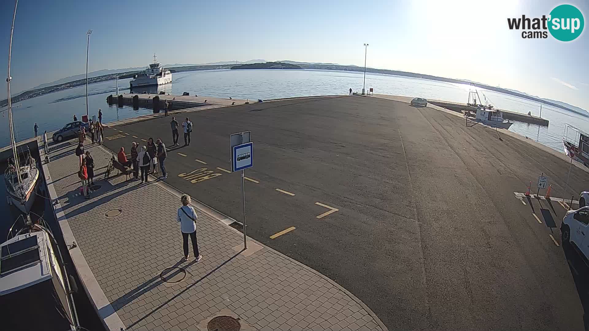 Tkon camera en vivo – Transportar – Dalmacia – Croacia