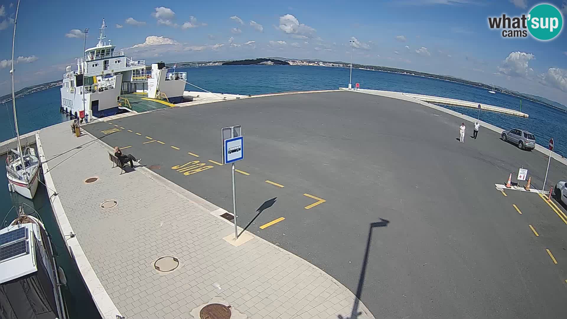 Tkon v živo – trajekt – Dalmacija – Hrvaška