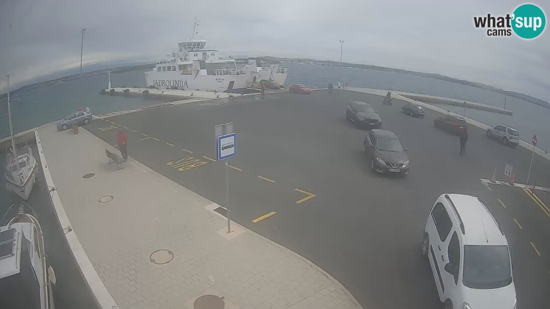 Tkon Live cam – ferry – Dalmatia – Croatia