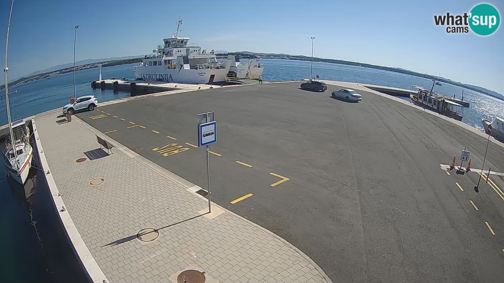 Tkon v živo – trajekt – Dalmacija – Hrvaška