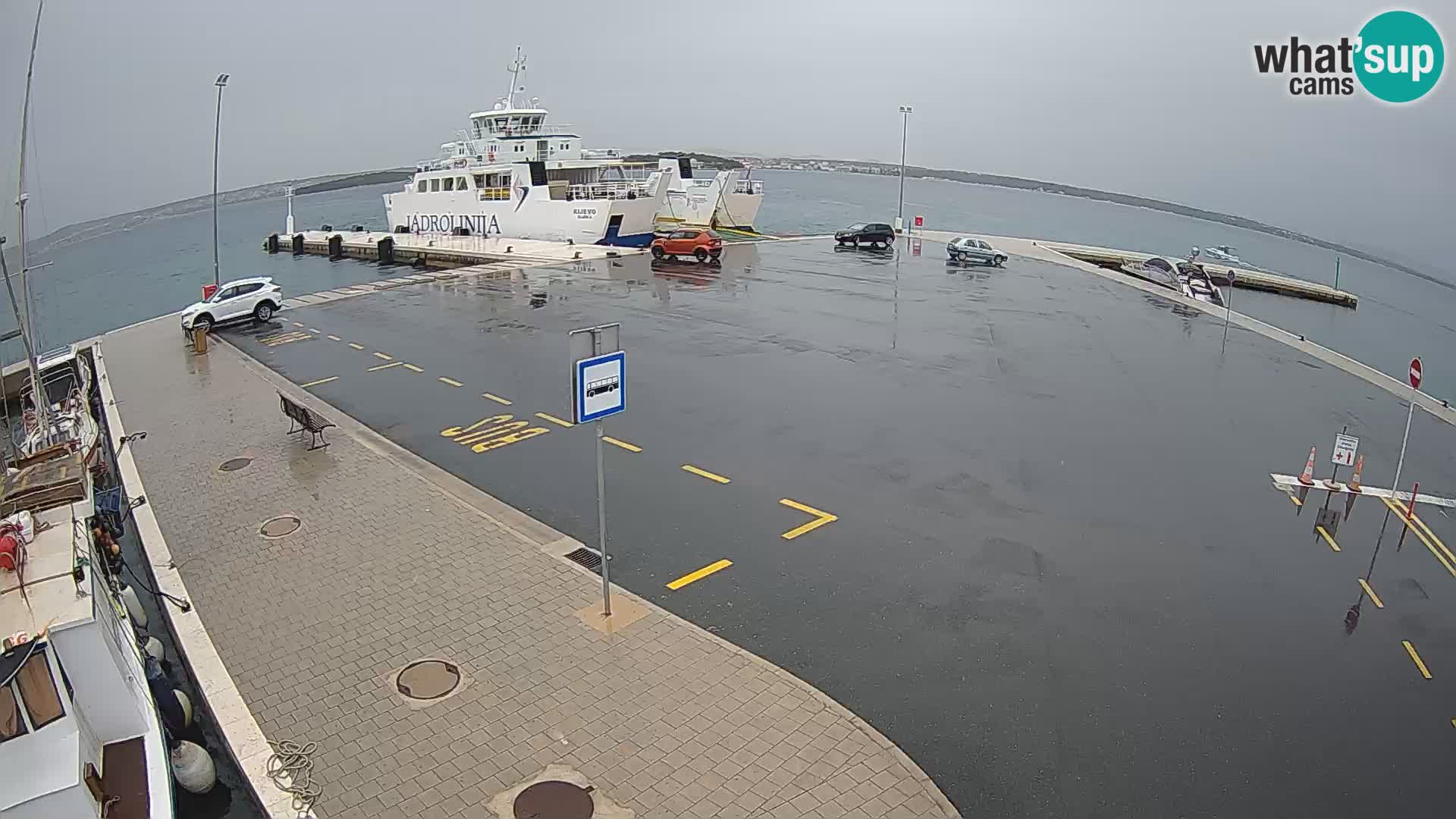 Tkon u živo – trajekt – Dalmacija
