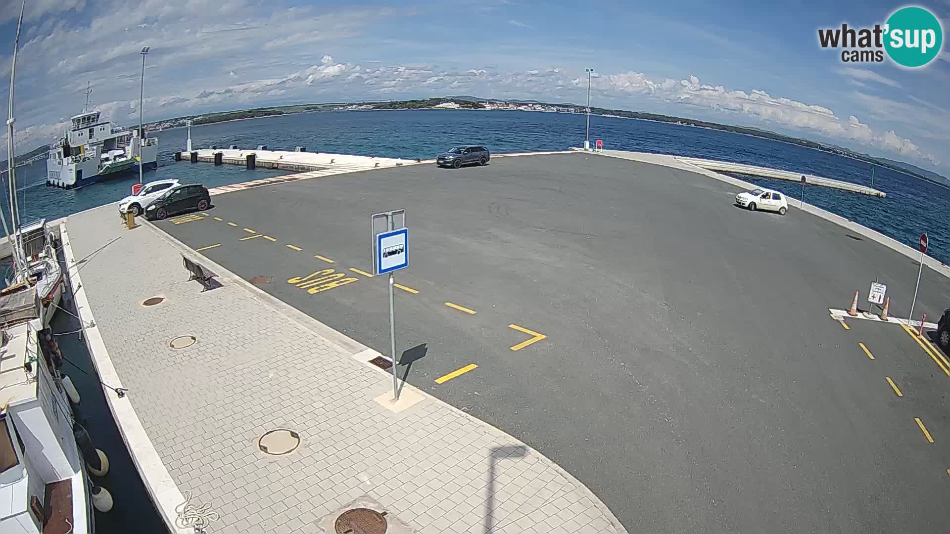 Tkon v živo – trajekt – Dalmacija – Hrvaška
