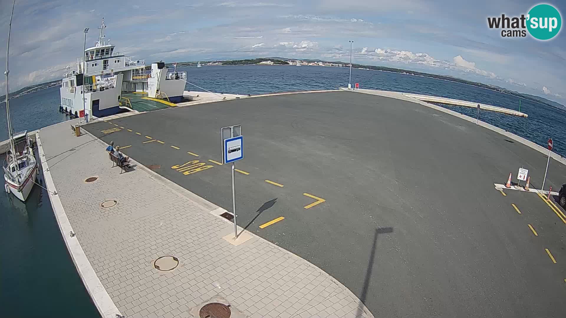 Tkon camera en vivo – Transportar – Dalmacia – Croacia