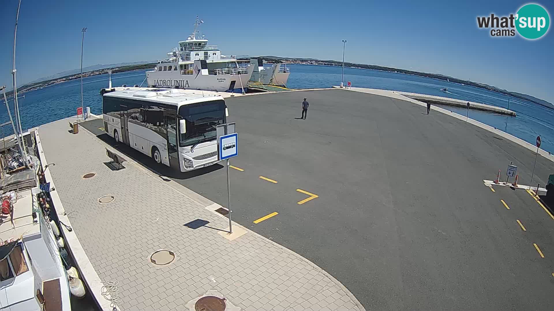 Tkon camera en vivo – Transportar – Dalmacia – Croacia