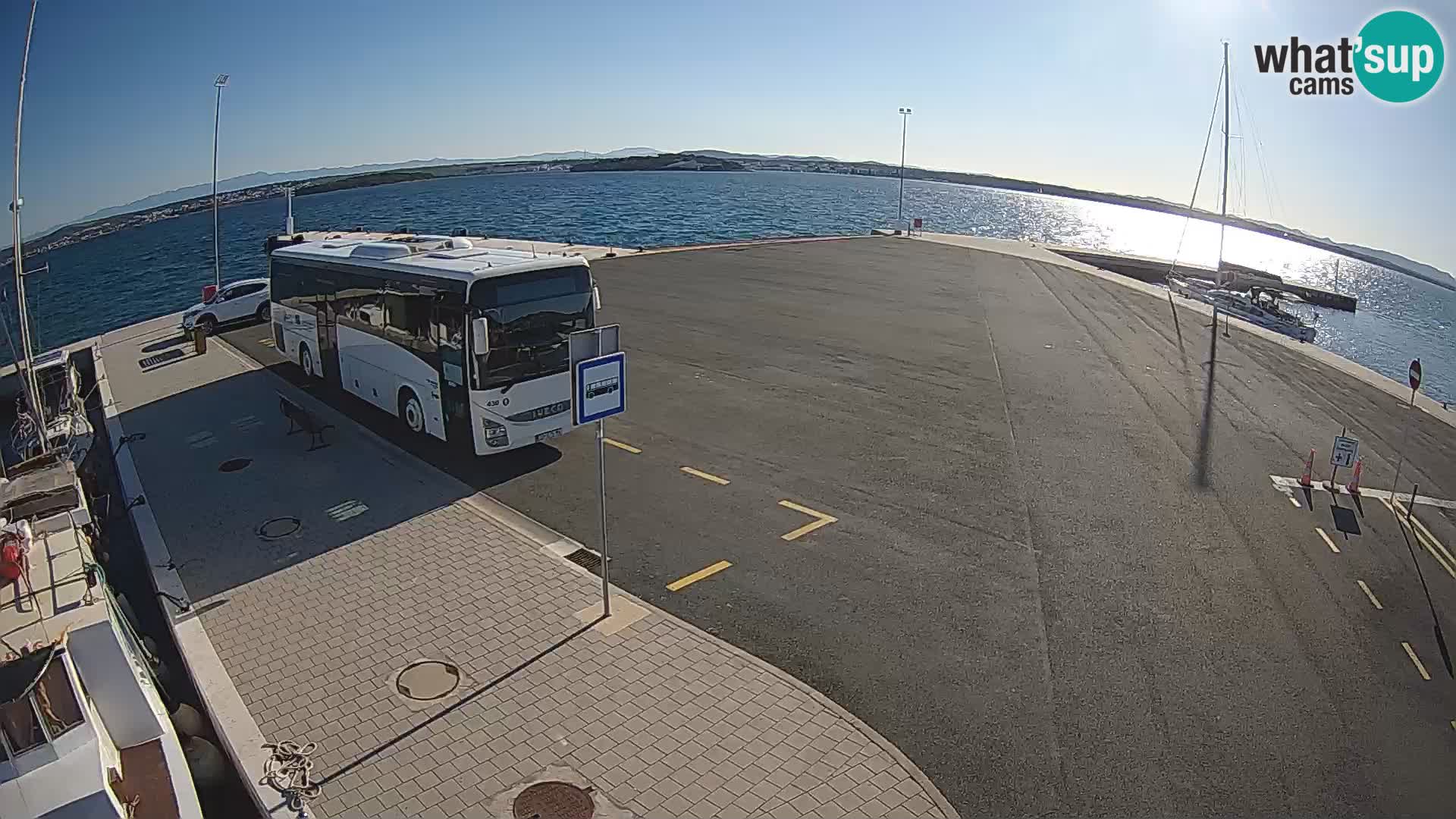 Tkon v živo – trajekt – Dalmacija – Hrvaška