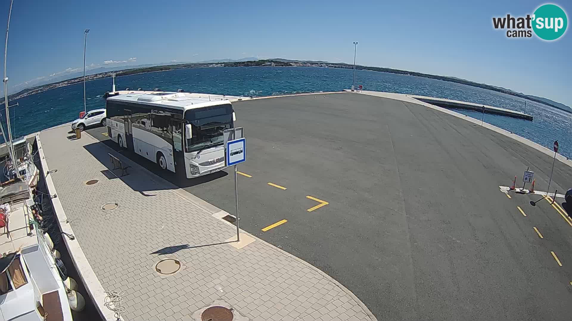 Tkon v živo – trajekt – Dalmacija – Hrvaška