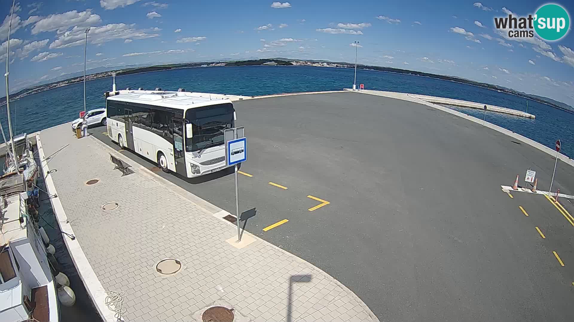 Tkon Live cam – traghetto – Dalmazia – Croazia