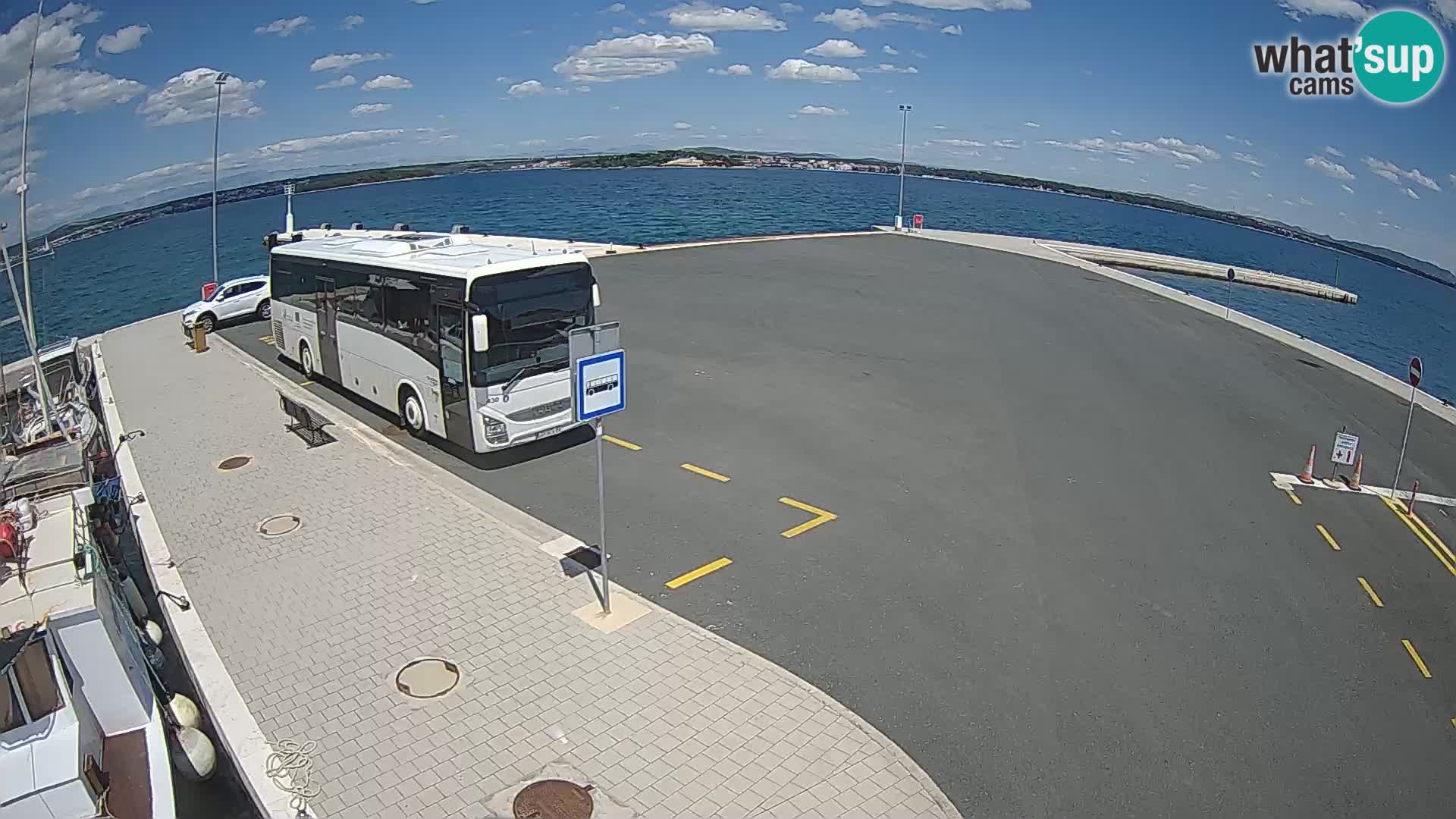 Tkon camera en vivo – Transportar – Dalmacia – Croacia