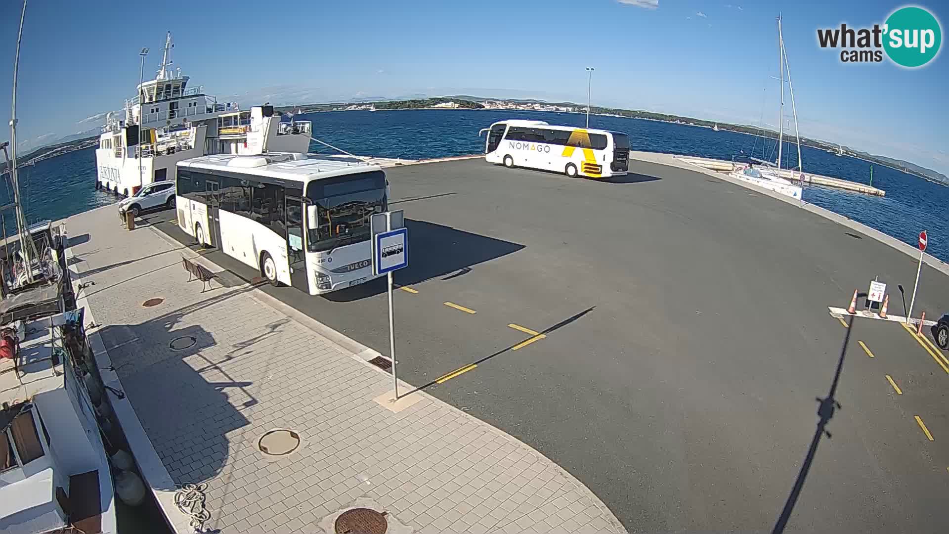 Tkon v živo – trajekt – Dalmacija – Hrvaška