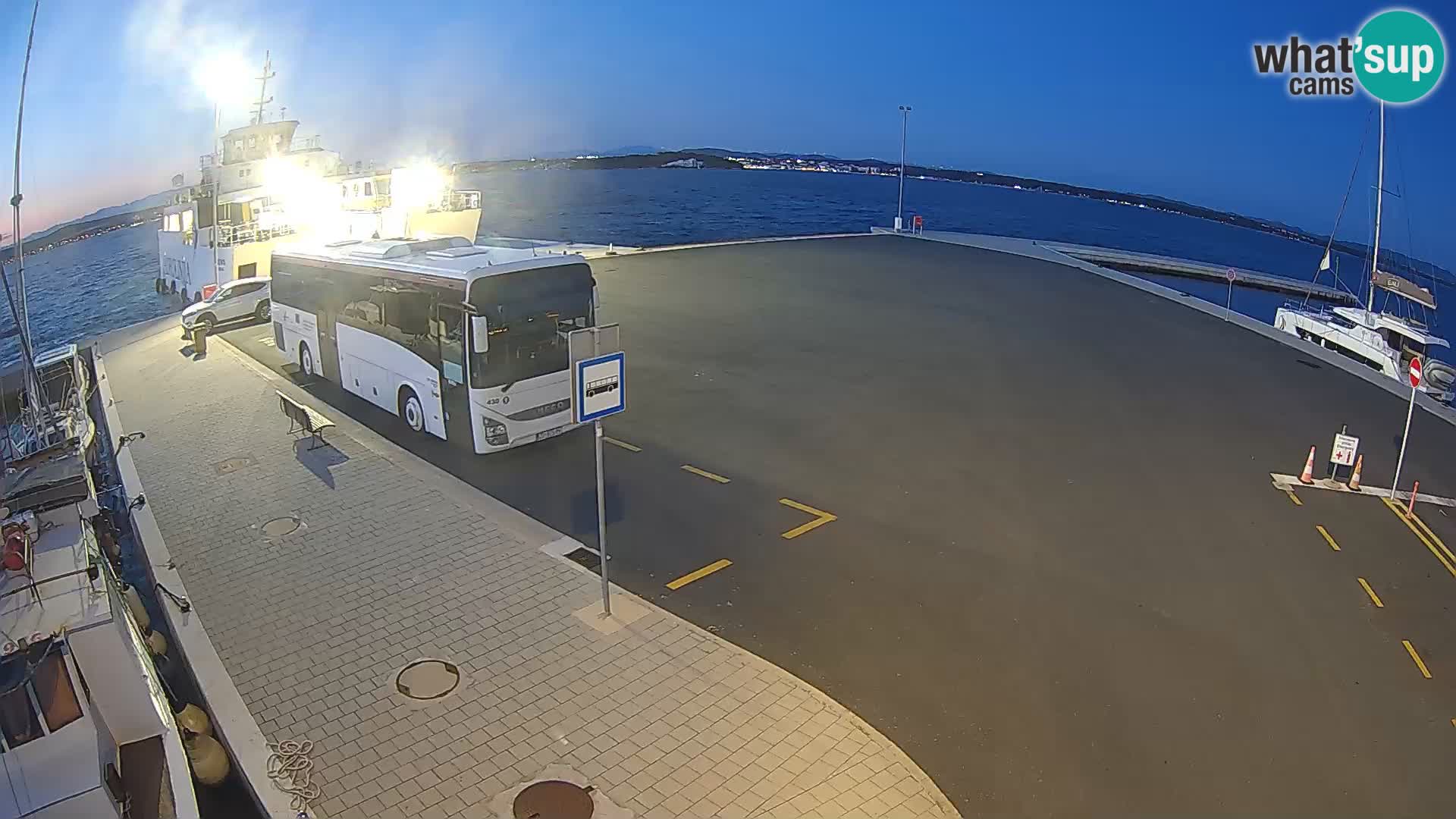 Tkon v živo – trajekt – Dalmacija – Hrvaška