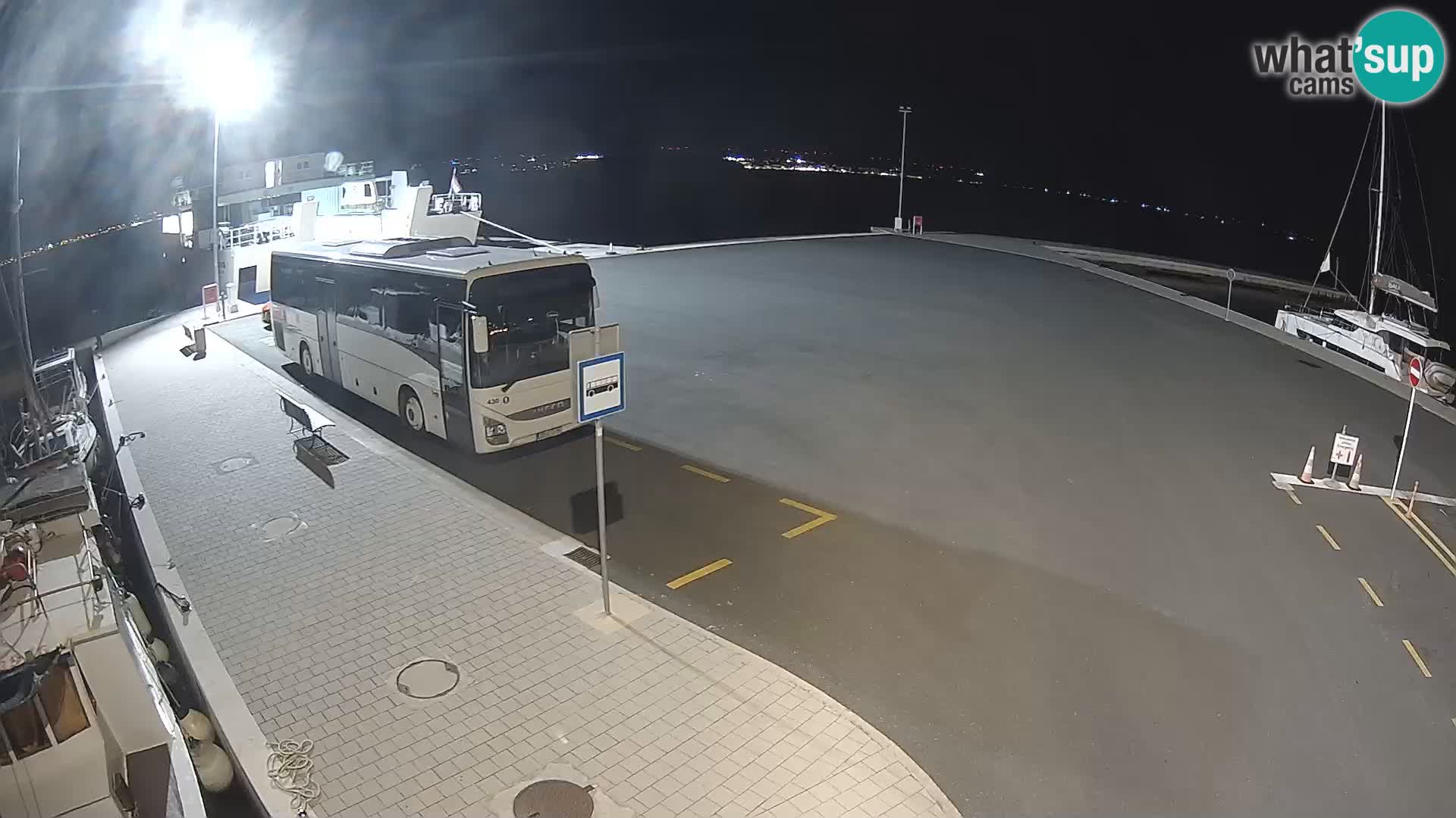 Tkon v živo – trajekt – Dalmacija – Hrvaška