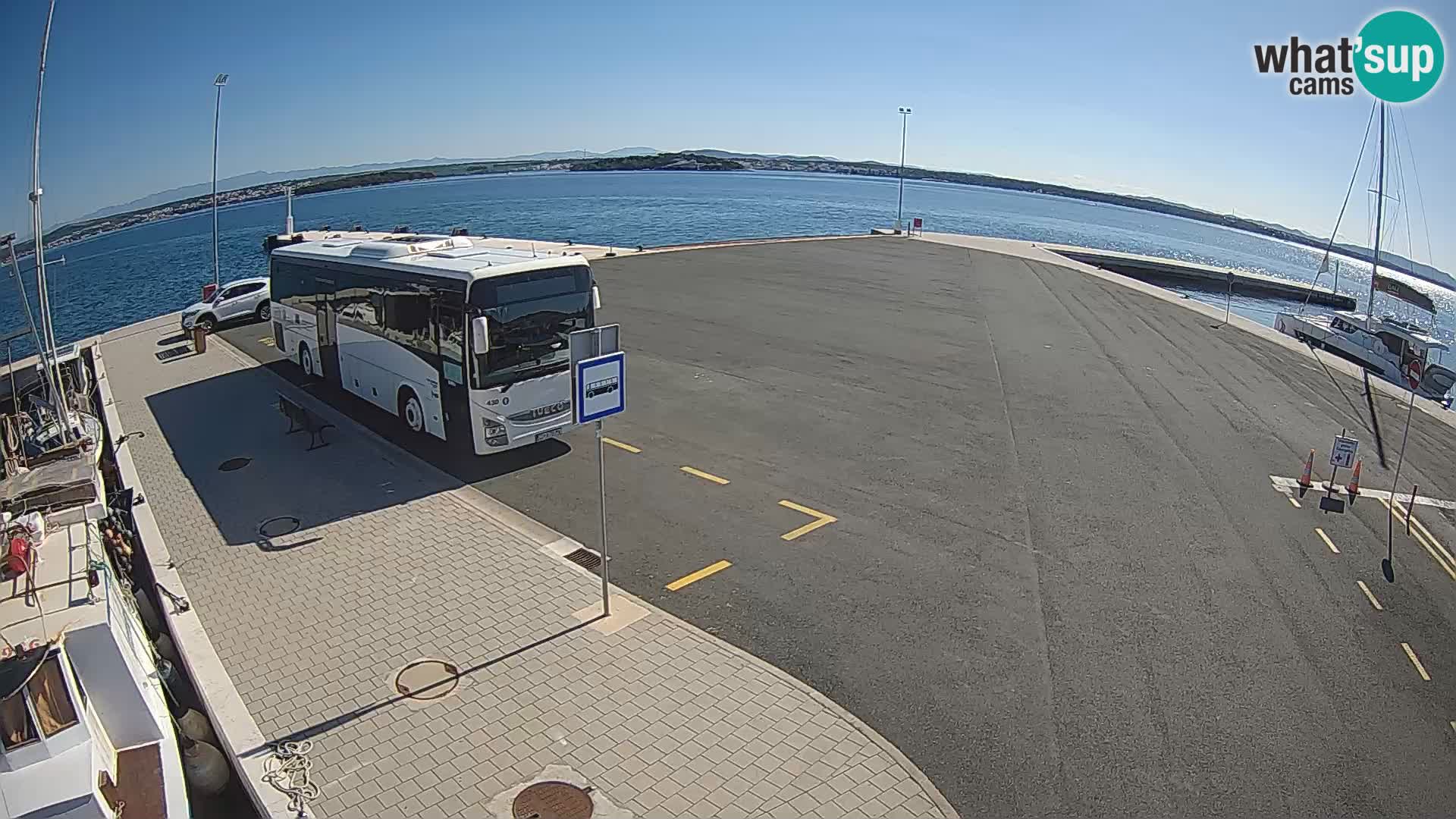 Tkon v živo – trajekt – Dalmacija – Hrvaška