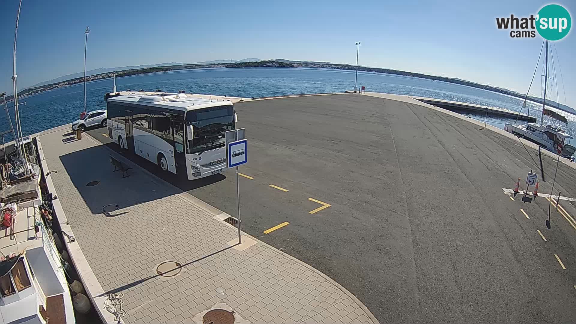 Tkon v živo – trajekt – Dalmacija – Hrvaška
