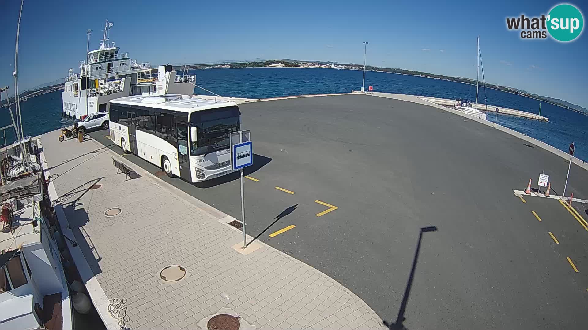 Tkon v živo – trajekt – Dalmacija – Hrvaška
