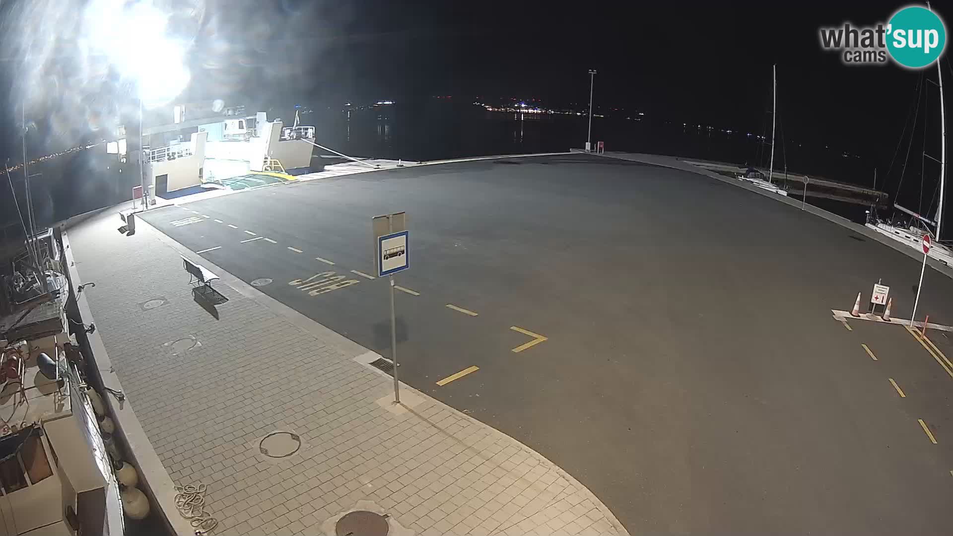 Tkon v živo – trajekt – Dalmacija – Hrvaška