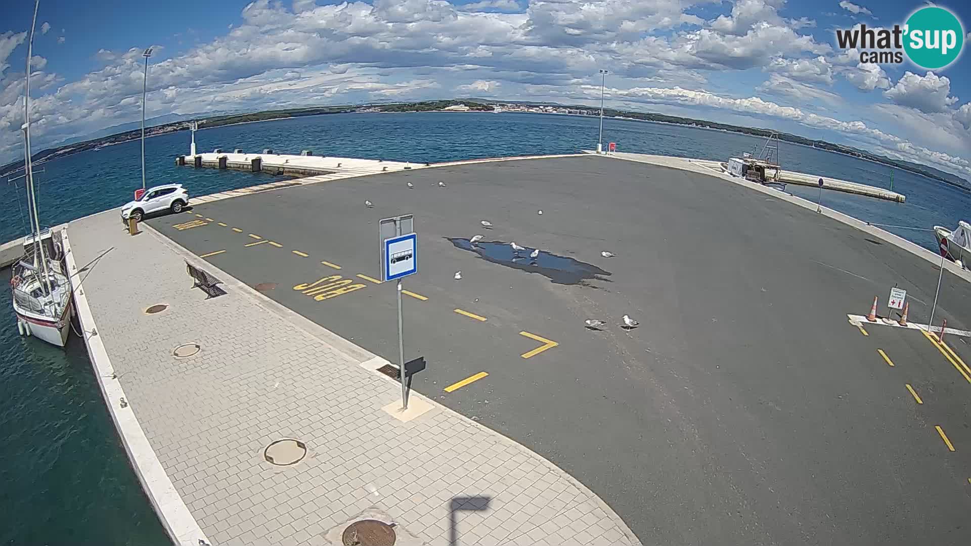 Tkon Live cam – ferry – Dalmatie – Croatie