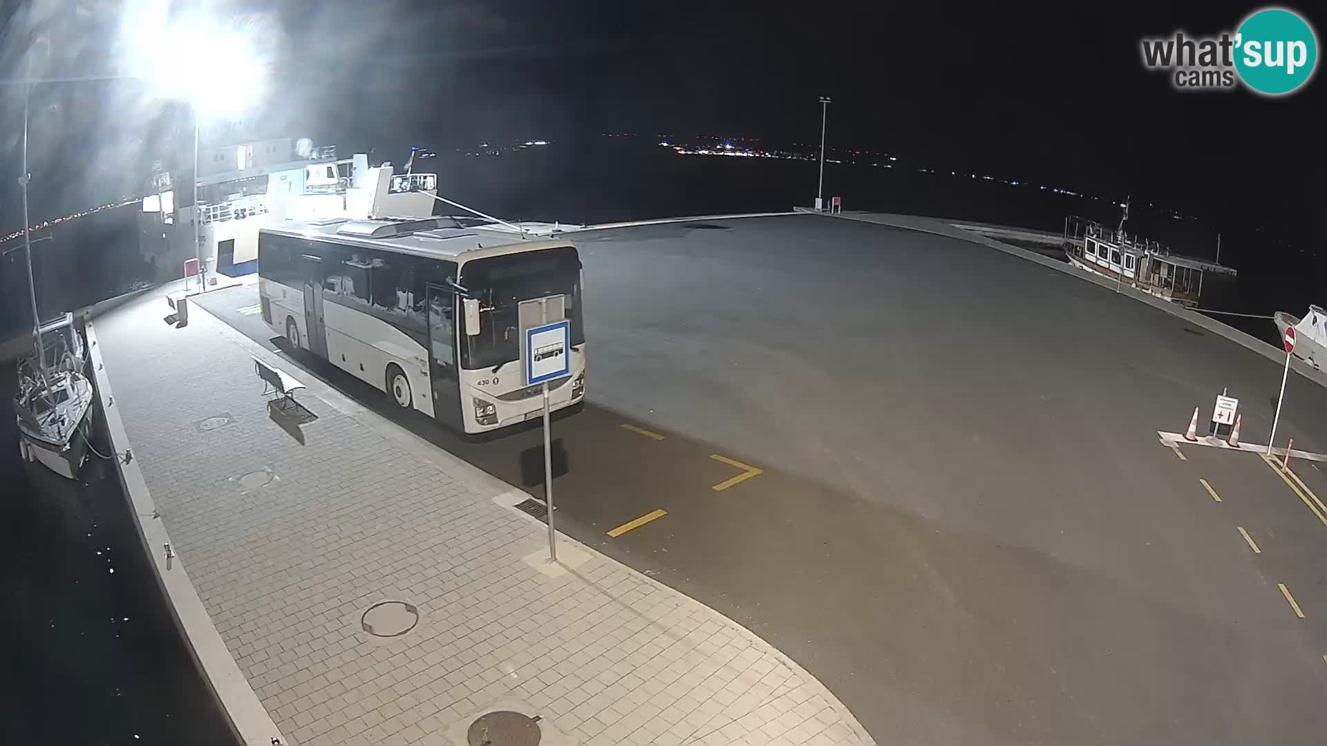Tkon v živo – trajekt – Dalmacija – Hrvaška