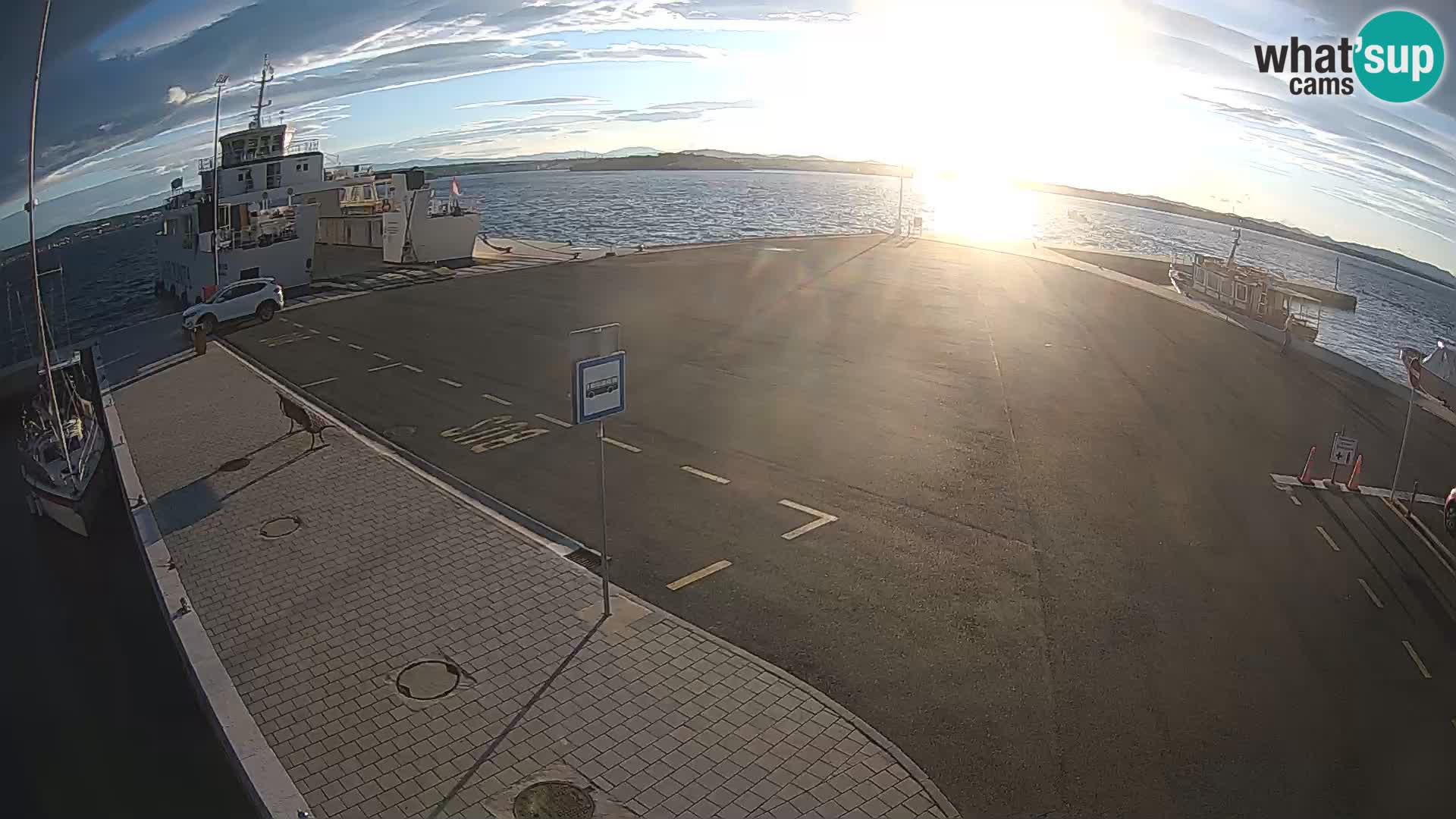 Tkon camera en vivo – Transportar – Dalmacia – Croacia