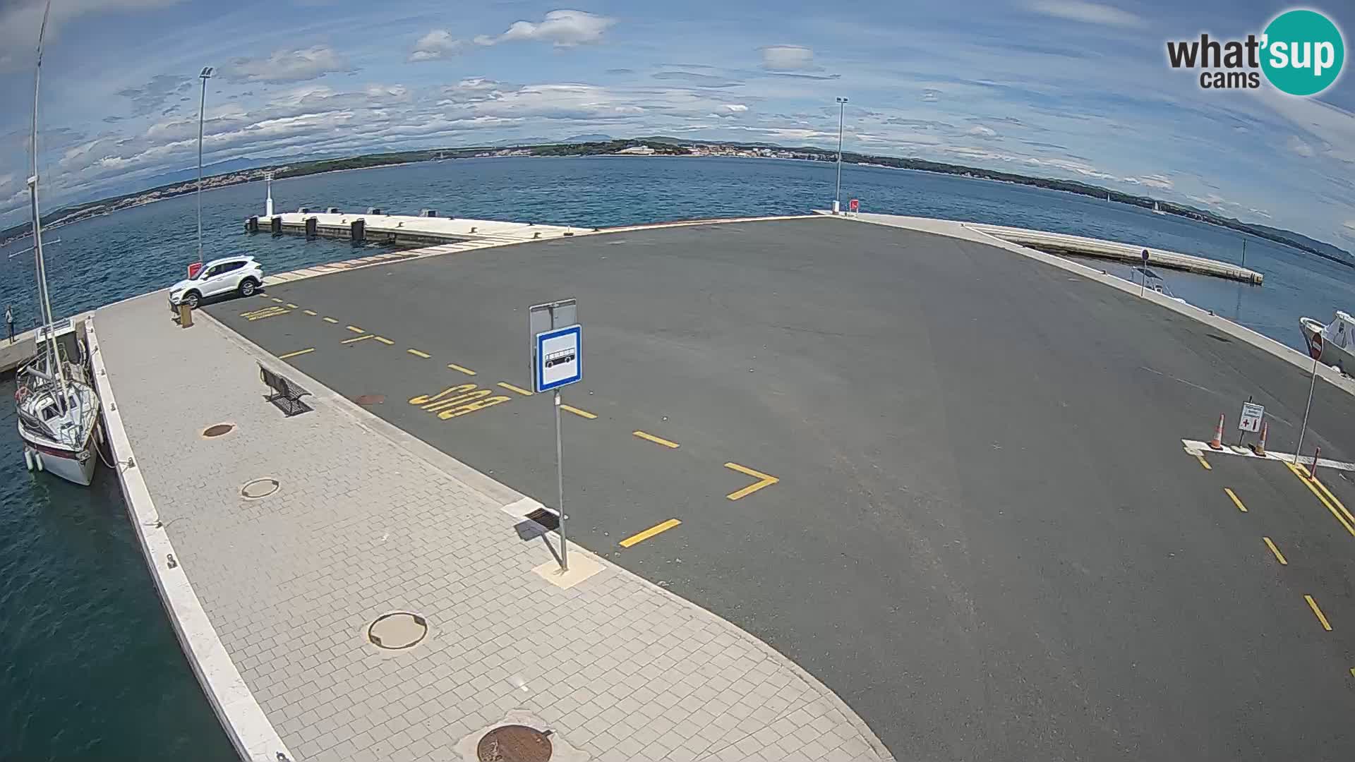 Tkon camera en vivo – Transportar – Dalmacia – Croacia