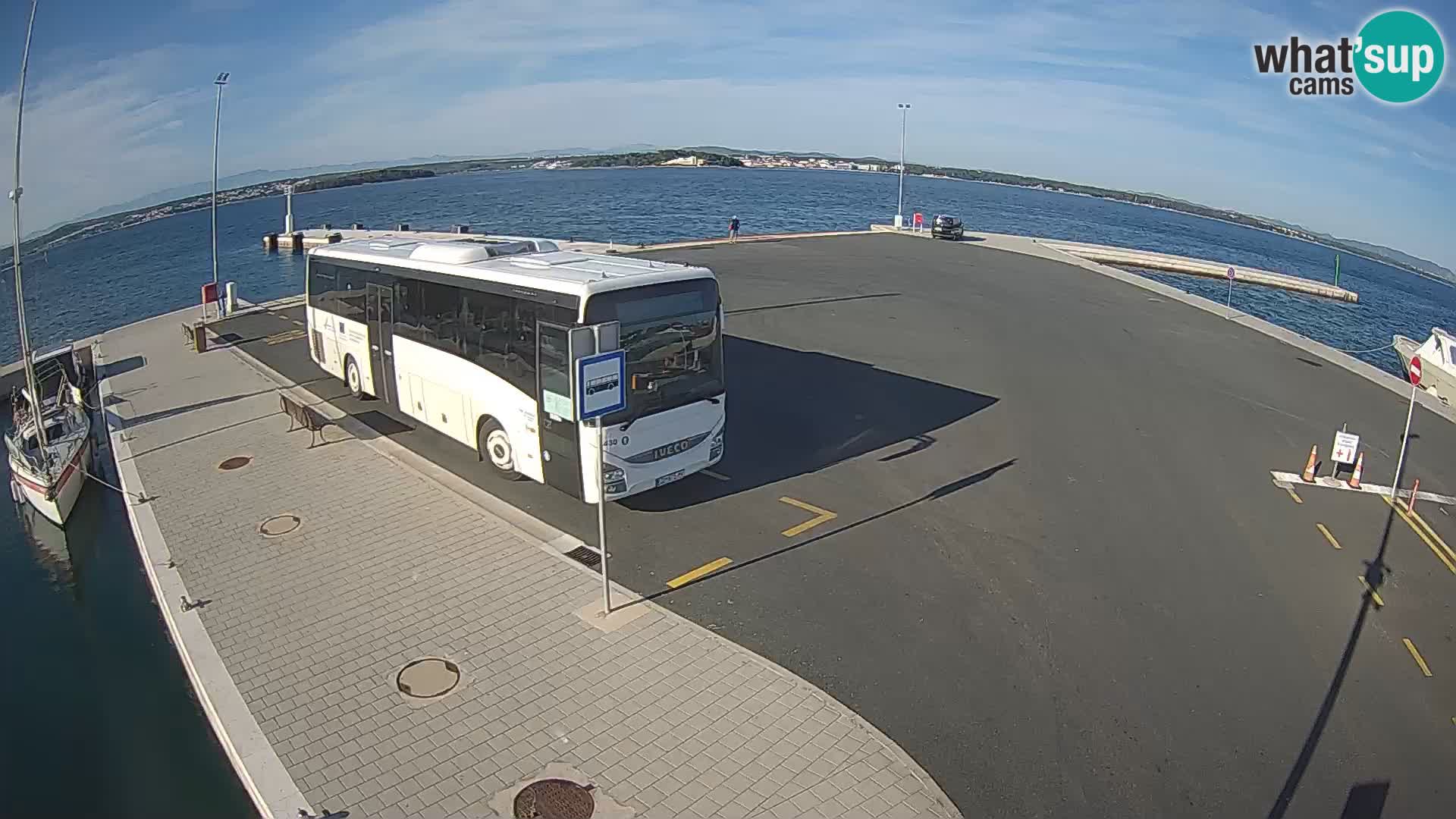 Tkon camera en vivo – Transportar – Dalmacia – Croacia