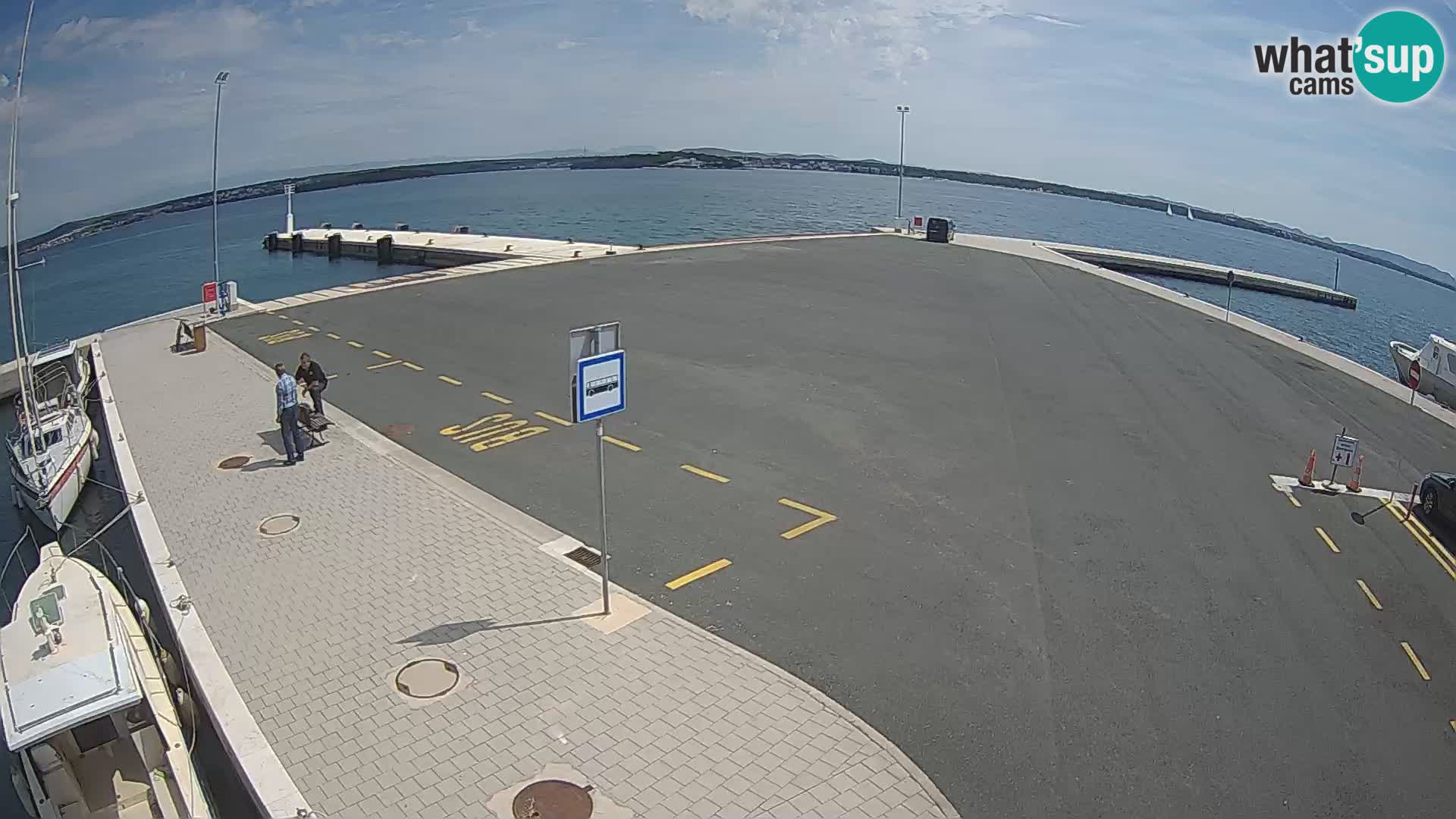 Tkon camera en vivo – Transportar – Dalmacia – Croacia