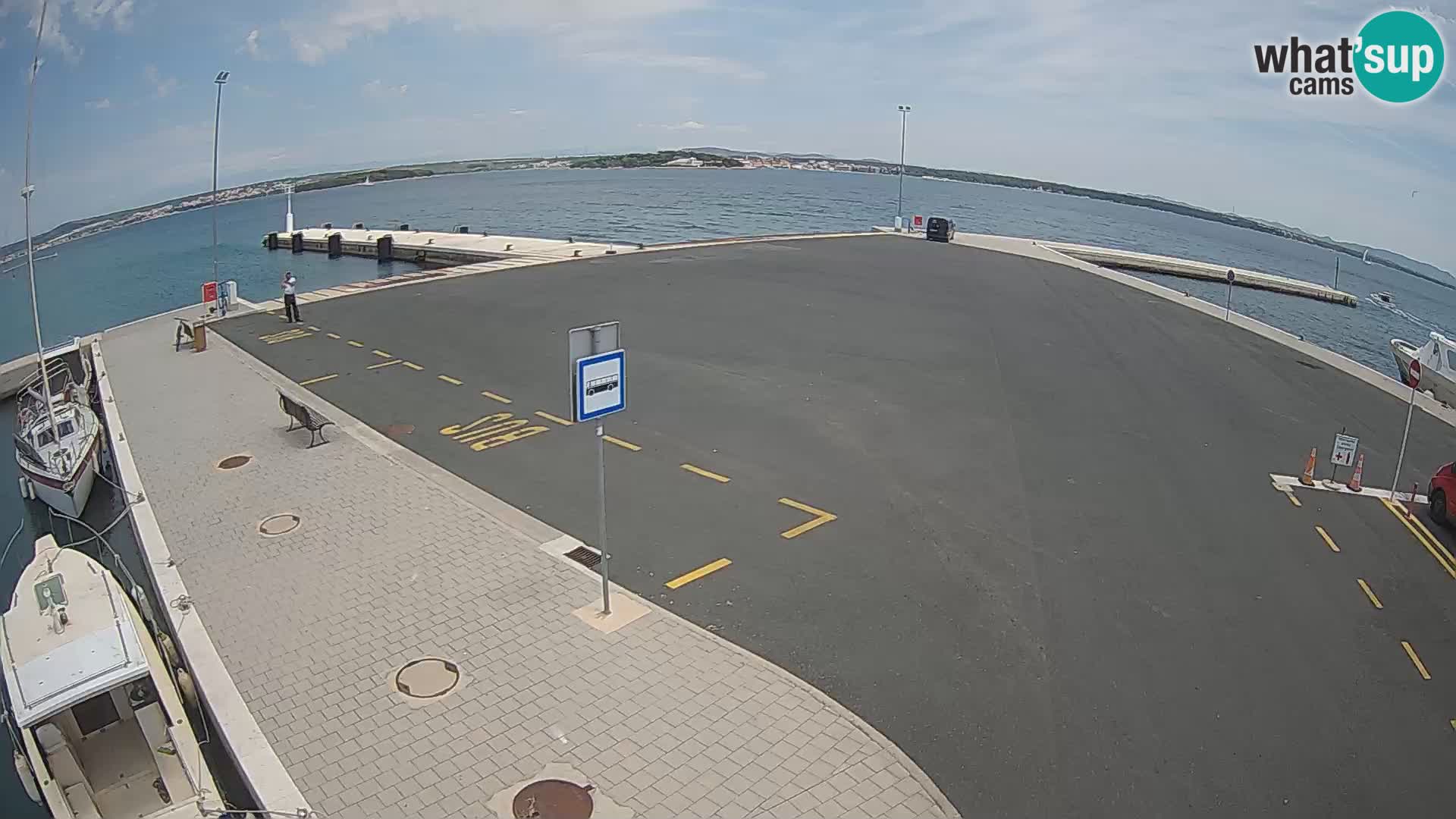 Tkon camera en vivo – Transportar – Dalmacia – Croacia