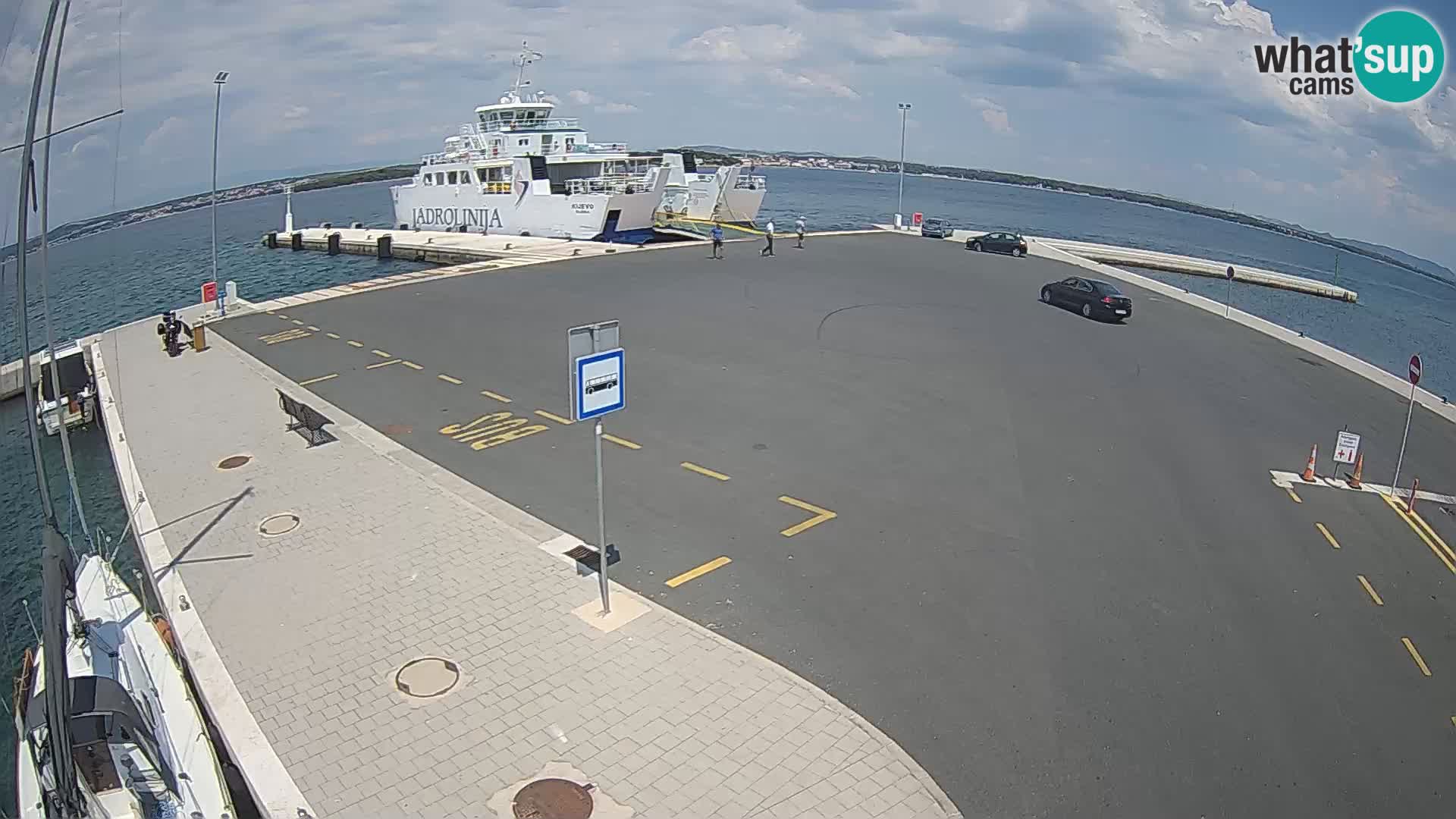 Tkon camera en vivo – Transportar – Dalmacia – Croacia