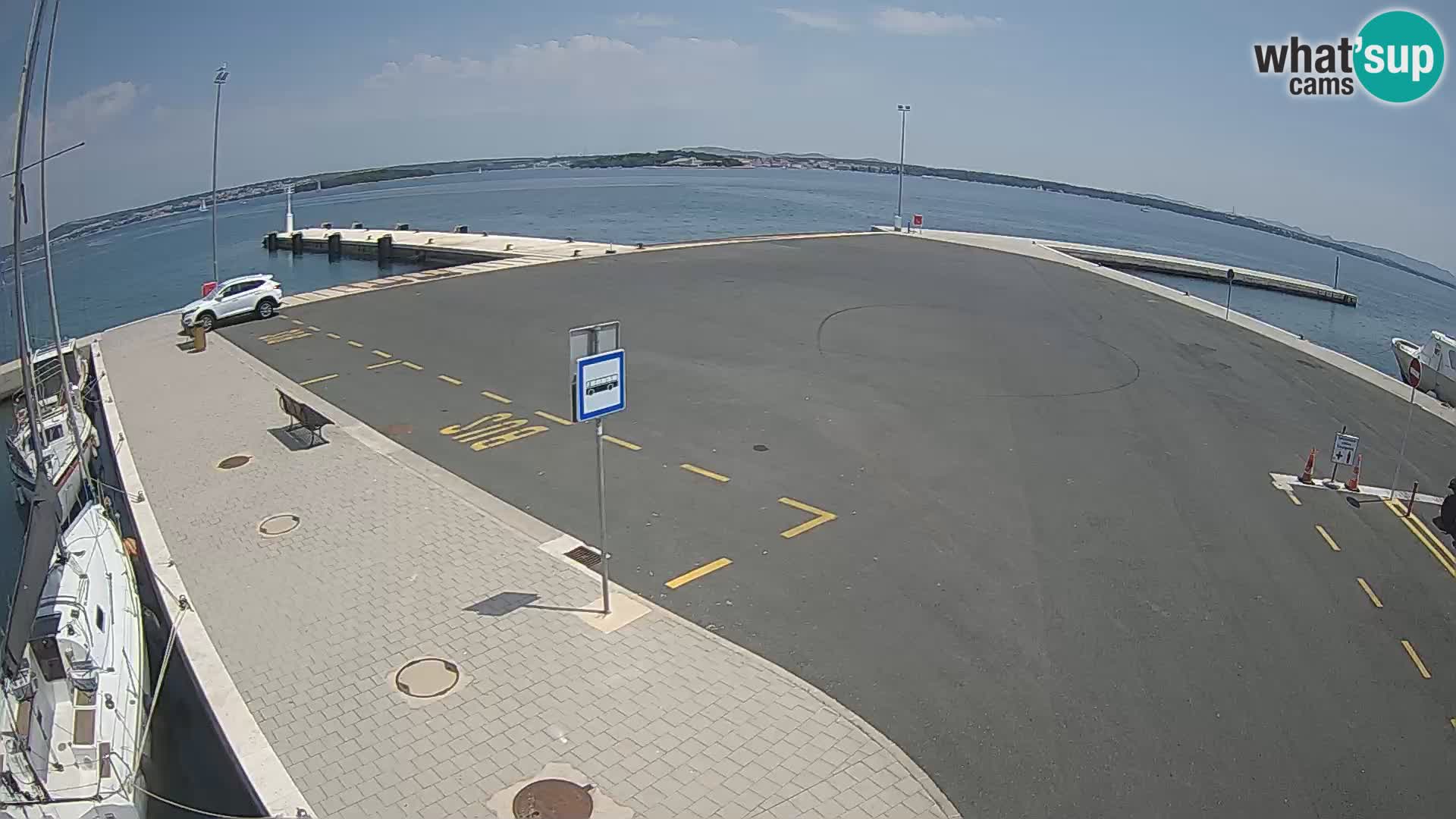 Tkon v živo – trajekt – Dalmacija – Hrvaška
