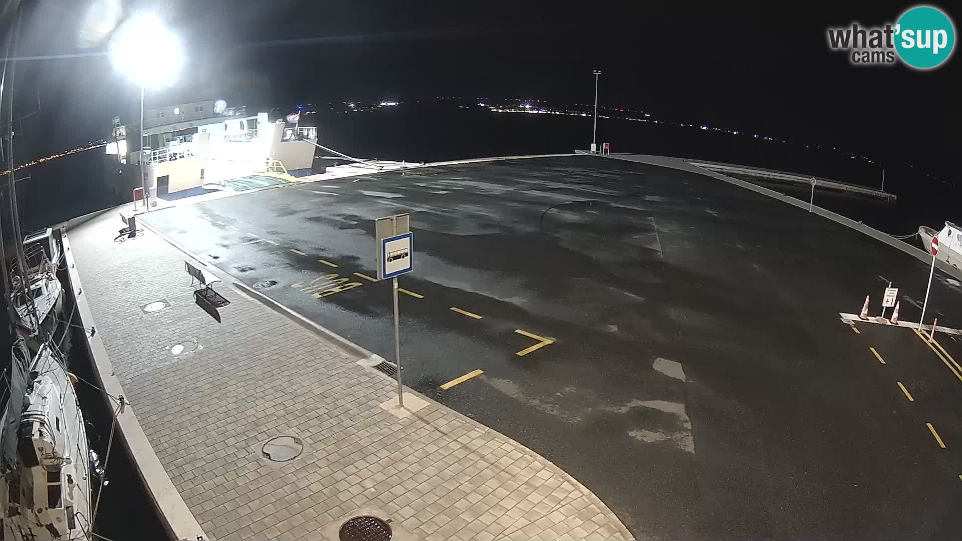 Tkon v živo – trajekt – Dalmacija – Hrvaška
