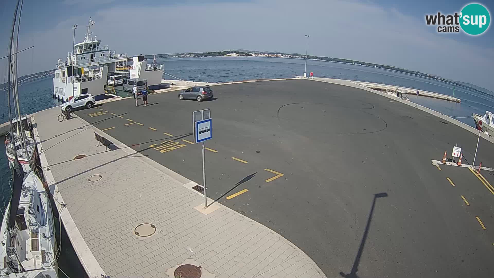 Tkon v živo – trajekt – Dalmacija – Hrvaška