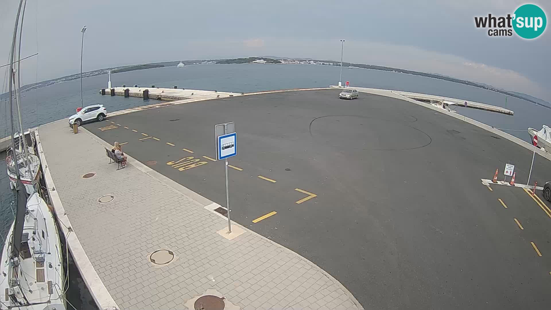 Tkon u živo – trajekt – Dalmacija