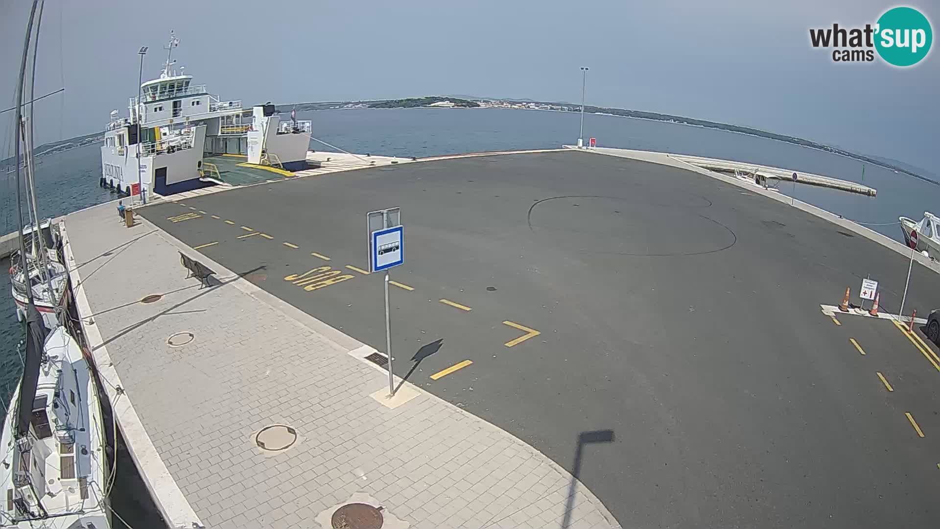 Tkon u živo – trajekt – Dalmacija