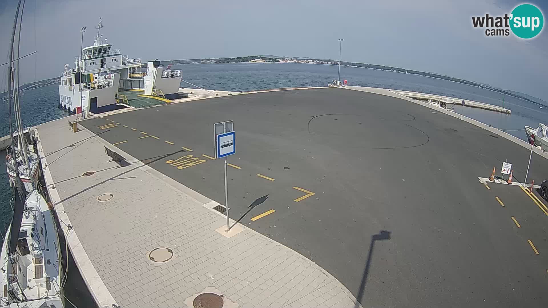 Tkon camera en vivo – Transportar – Dalmacia – Croacia