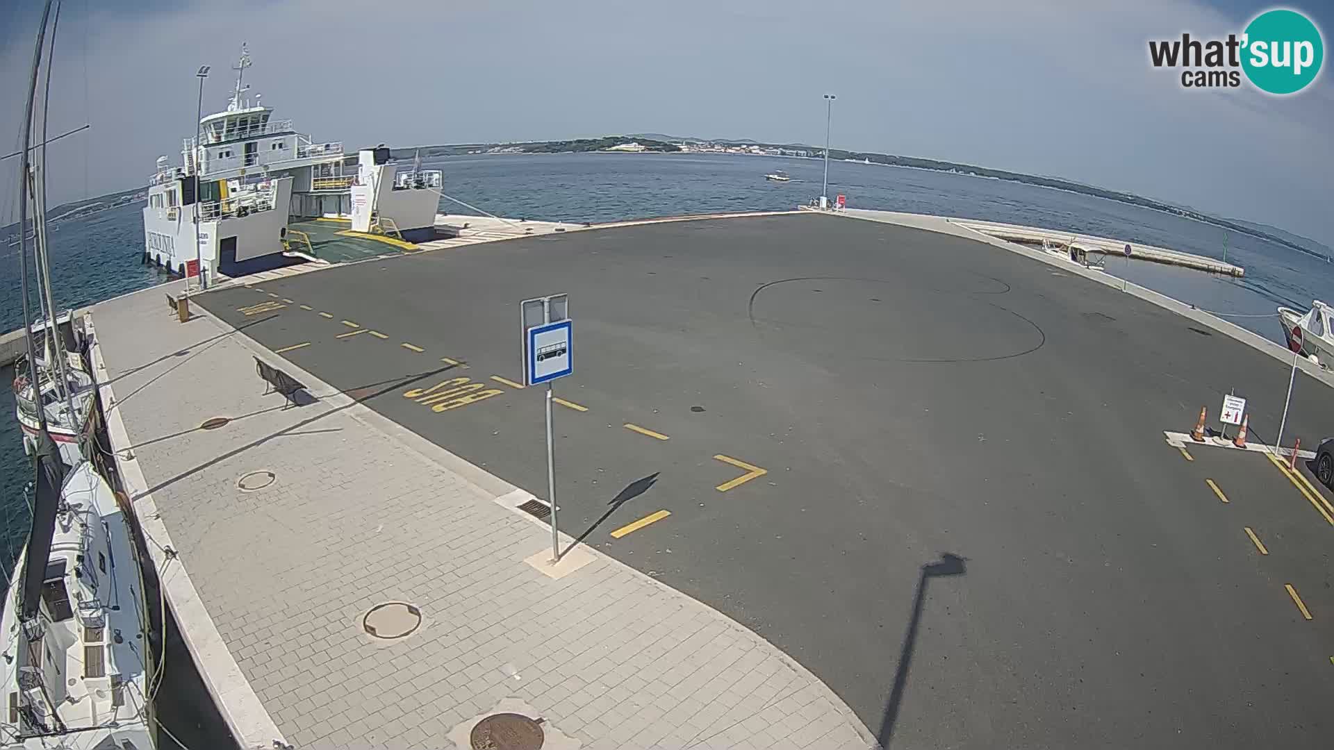 Tkon camera en vivo – Transportar – Dalmacia – Croacia