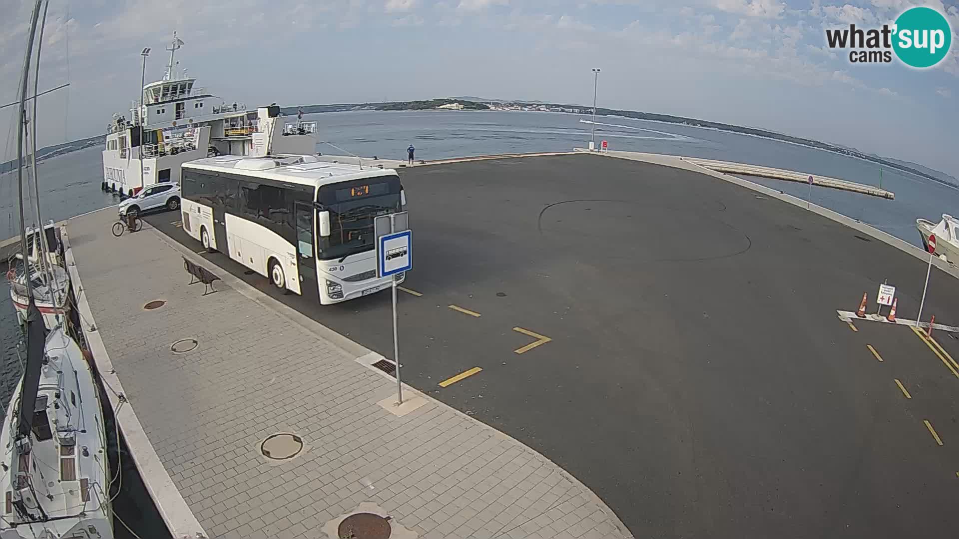 Tkon u živo – trajekt – Dalmacija