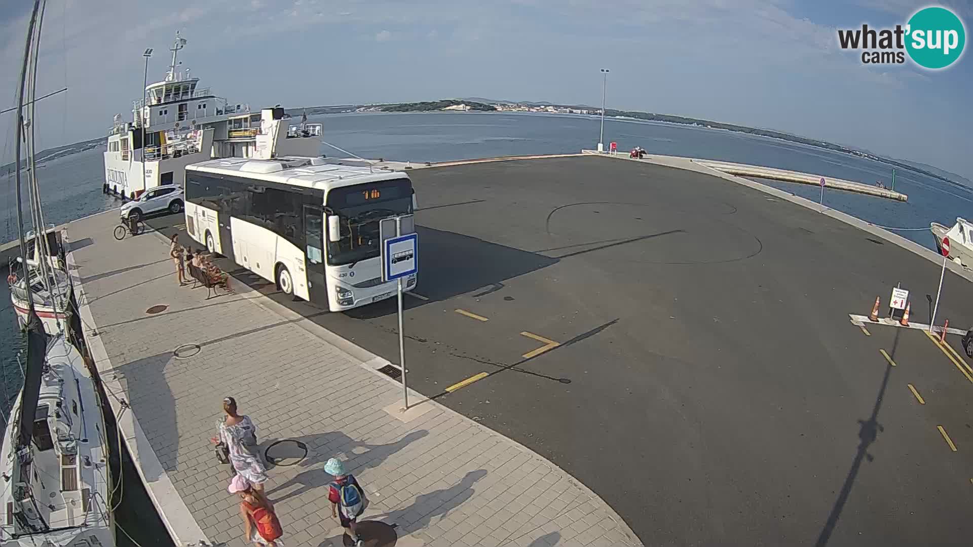 Tkon v živo – trajekt – Dalmacija – Hrvaška