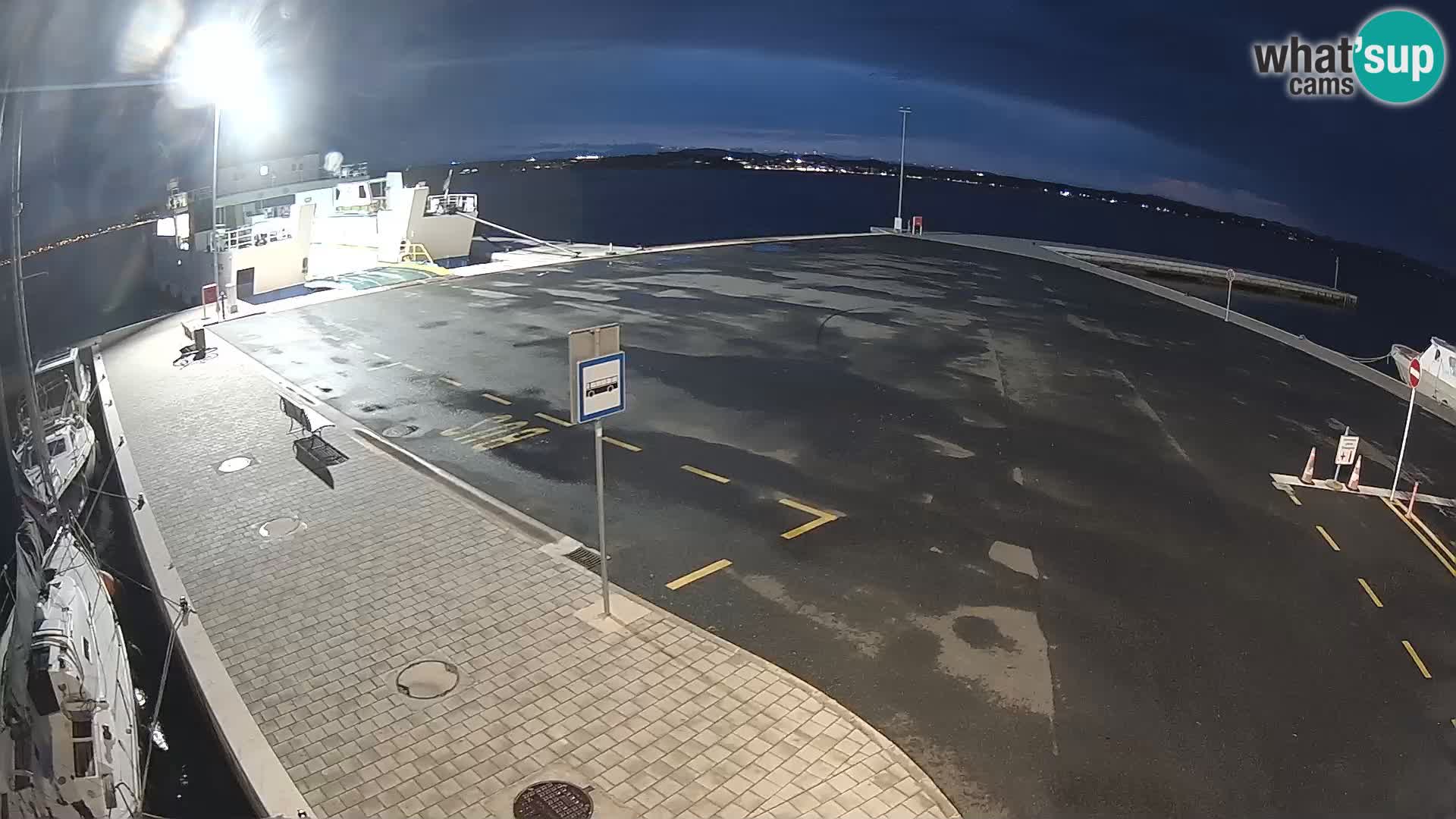 Tkon v živo – trajekt – Dalmacija – Hrvaška