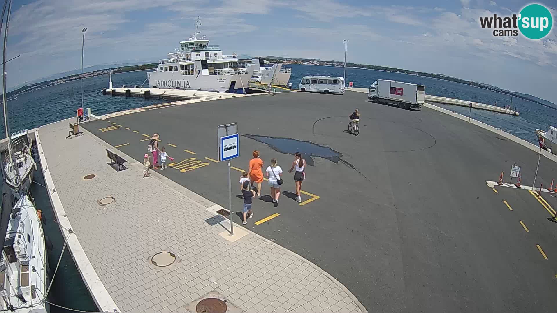 Tkon camera en vivo – Transportar – Dalmacia – Croacia