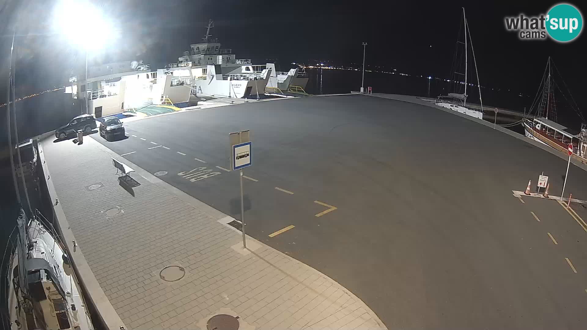 Tkon v živo – trajekt – Dalmacija – Hrvaška