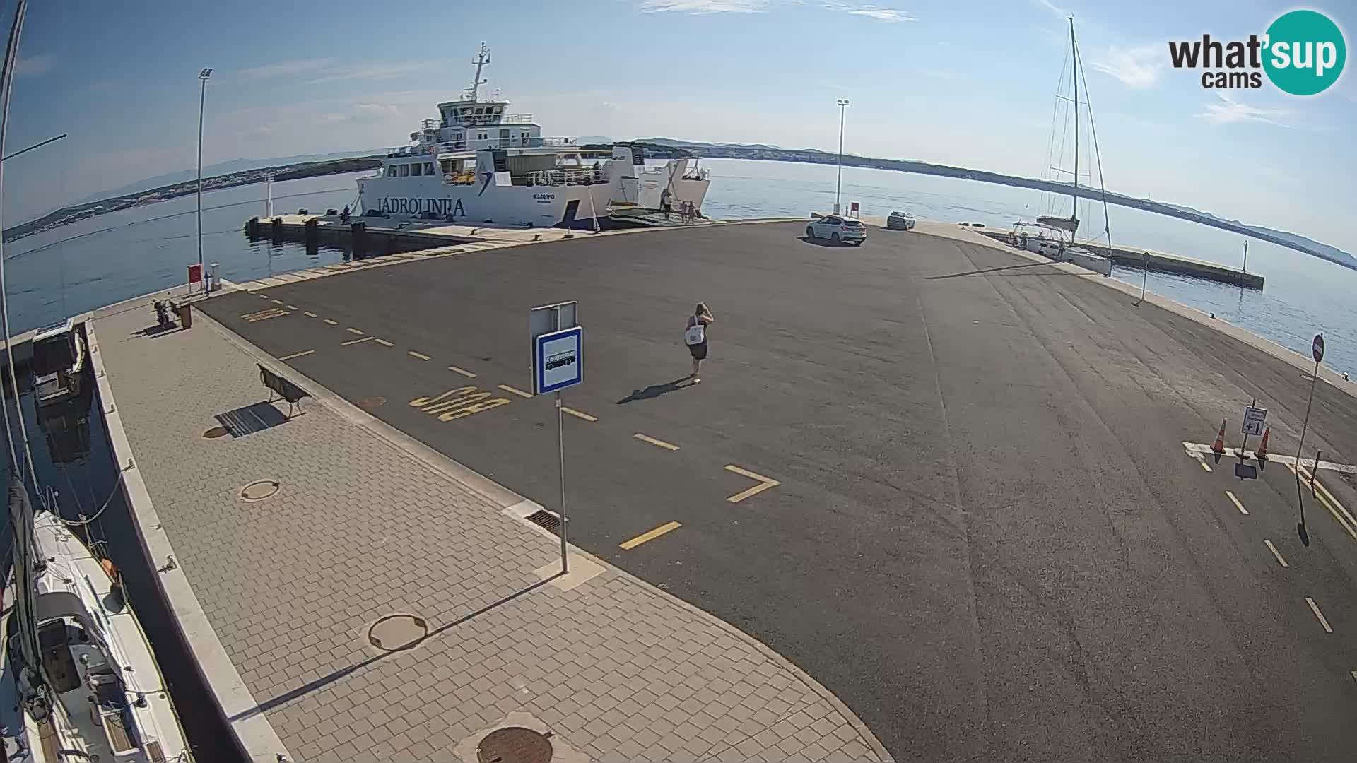 Tkon v živo – trajekt – Dalmacija – Hrvaška