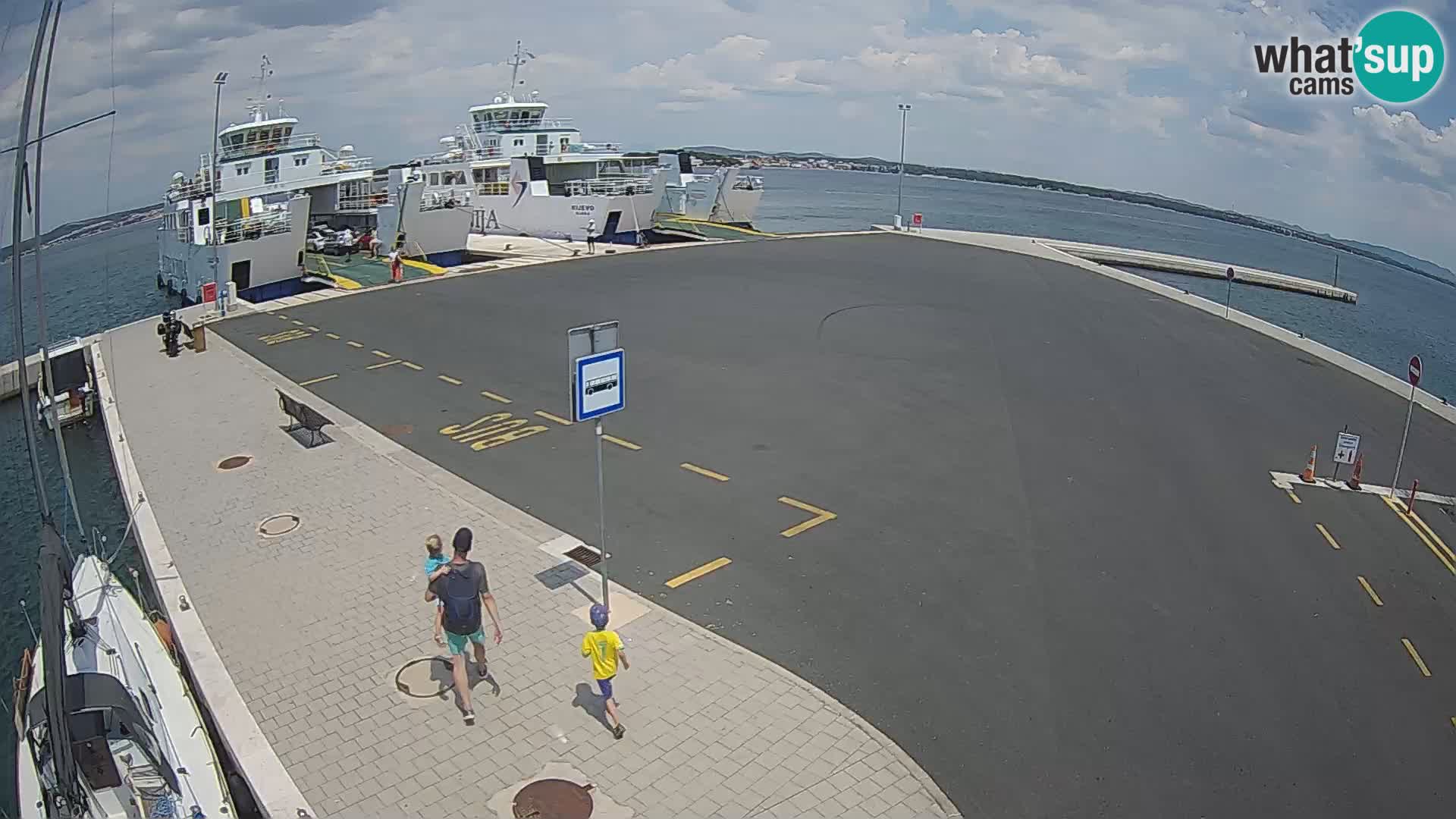 Tkon Live cam – ferry – Dalmatia – Croatia